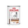 Royal Canin Veterinary Canine Gastrointestinal Low Fat Loaf (12 x 420g)