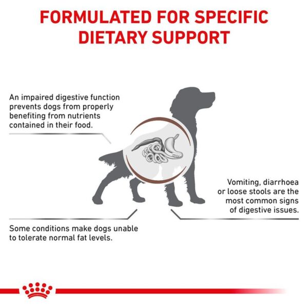 Royal Canin Veterinary Canine Gastrointestinal Low Fat Loaf (12 x 420g) - Image 7