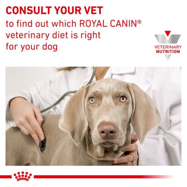 Royal Canin Veterinary Canine Gastrointestinal Low Fat Loaf (12 x 420g) - Image 6